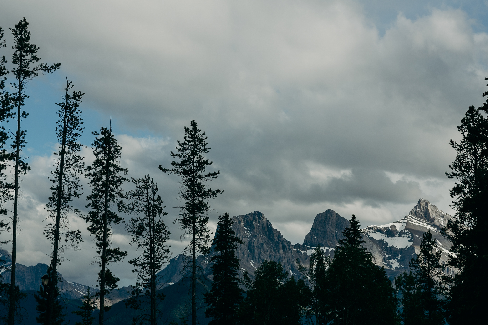 Photo of mountains trees and sky at Silvertip Resort in Canmore AB